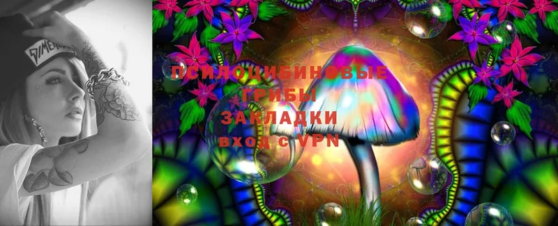 Псилоцибиновые грибы Cubensis Жуков